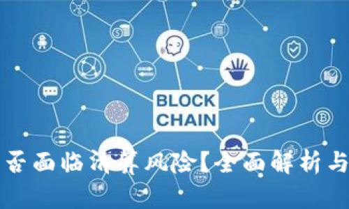 TP钱包是否面临清算风险？全面解析与用户指导