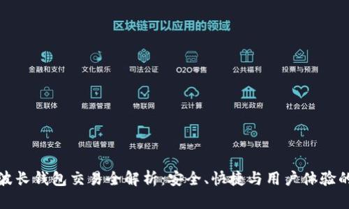 TP钱包和波长钱包交易全解析：安全、快捷与用户体验的综合评估