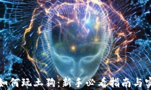 
tp钱包如何玩土狗：新手必看指南与实战解析